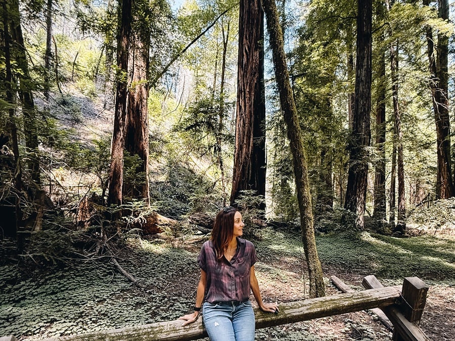 Annette Armstrong Woods