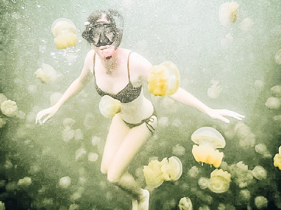 Jellyfish Lake in Palau