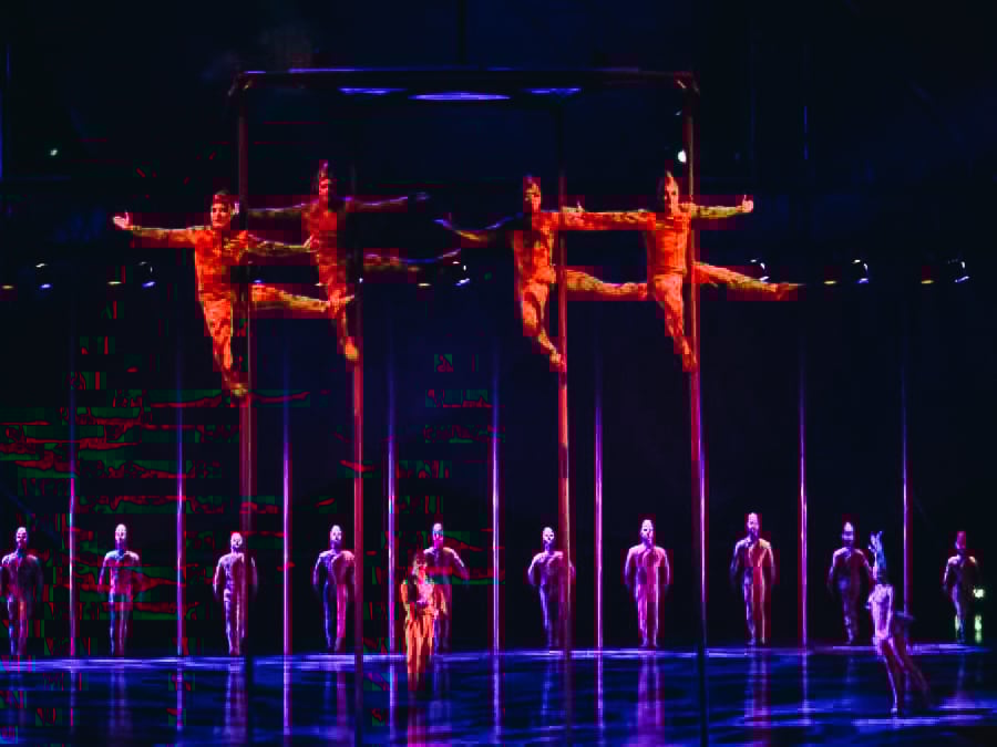 Mystère by Cirque du Soleil