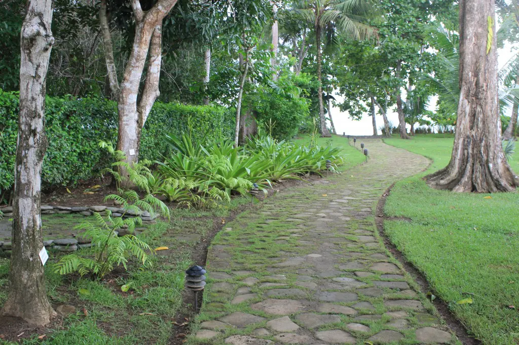 Blue Osa Yoga Retreat Costa Rica